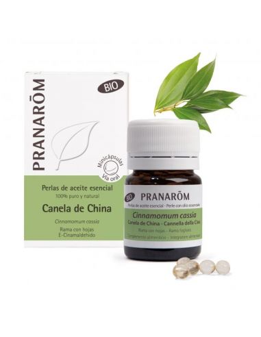 PRANAROM CANELA DE CHINA BIO 60 PERLAS