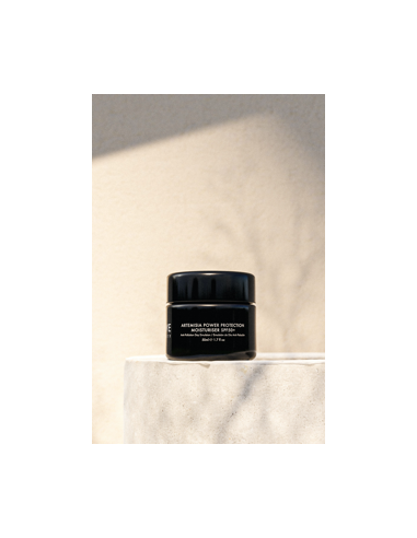 TWELVE BEAUTY ARTEMISIA POWER PROTECTION MOISTURISER SPF50+