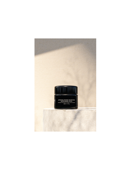 TWELVE BEAUTY ARTEMISIA POWER PROTECTION MOISTURISER SPF50+