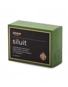 GOAH CLINIC SILUIT