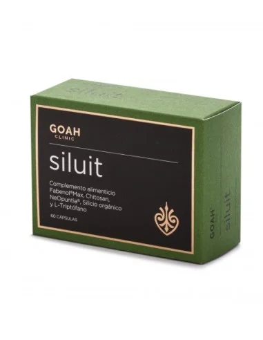 GOAH CLINIC SILUIT
