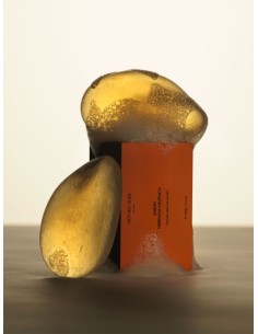 ARTURO ALBA JABÓN HERENCIA HELÉNICA 2