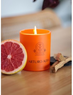 ARTURO ALBA VELA ARTEMISA 2