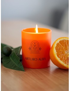 ARTURO ALBA VELA APOLO 2