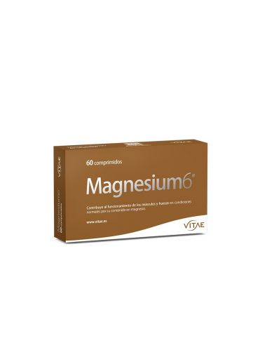 MAGNESIUM6 60 CAPSULAS VITAE