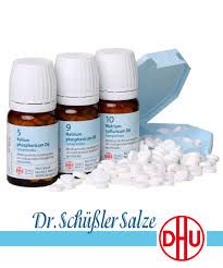 Sales Schussler