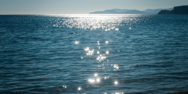 GUIA DEFINITIVA PER TENIR CURA DEL CABELL A L’ESTIU