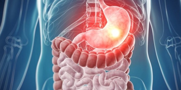 Enzimas digestivas : ¿ QUÉ SON ?