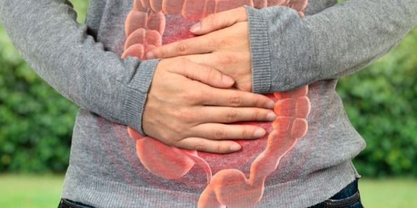 Permeabilidad intestinal