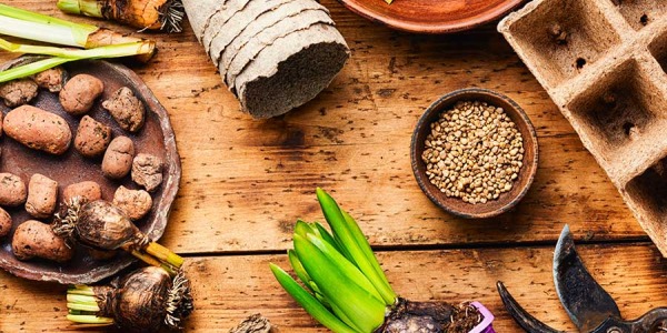 ¿Que es la Astenia Primaveral?